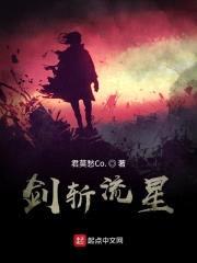 剑斩流星封面