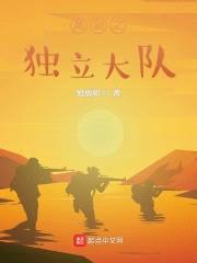 亮剑之独立大队封面