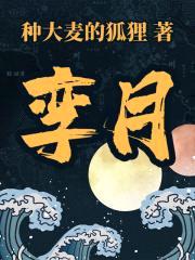 孪月封面