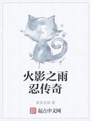 火影之雨忍传奇封面