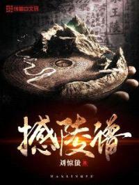 撼陵谱封面