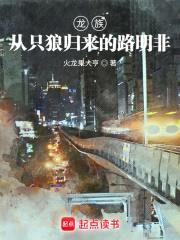 龙族：从只狼归来的路明非封面