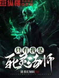 只有我是死灵法师封面