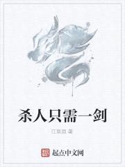 杀人只需一剑封面