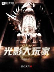 光影大玩家封面