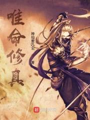 唯命修真封面