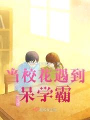 当校花遇到呆学霸封面