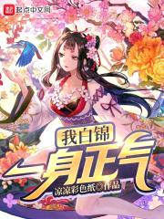 我白锦一身正气封面