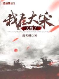 我在大宋无敌了封面