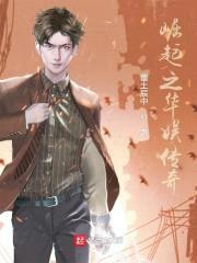 崛起之华娱传奇封面