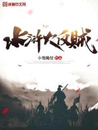 水浒大反贼封面