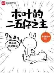 木叶的二五仔之主封面