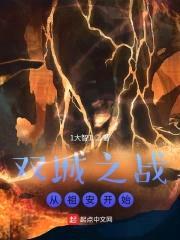 双城之战：从祖安开始封面