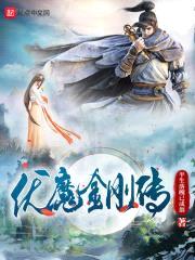 伏魔金刚传封面