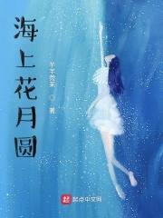 海上花月圆封面