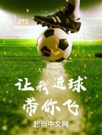 让我进球带你飞封面