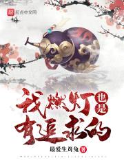 我燃灯也是有追求的封面