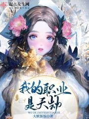 我的职业是天劫封面