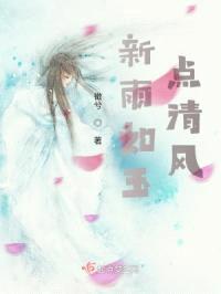 新雨如玉点清风封面