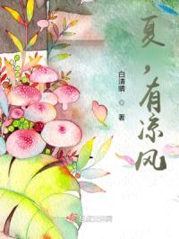 夏，有凉风封面