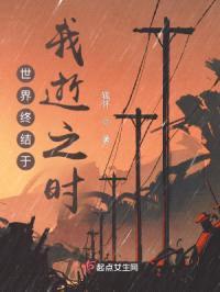 世界终结于我逝之时封面