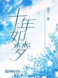 十年如梦封面