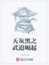 天灰黑之武道崛起封面