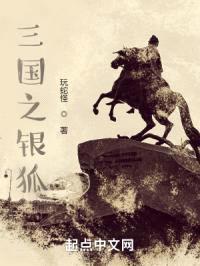 三国之银狐封面