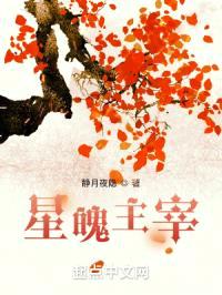 星魄主宰封面