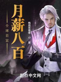 全球首富月薪八百封面