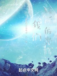 我们短暂的光辉封面