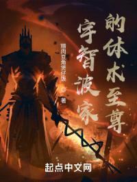 宇智波家的体术至尊封面