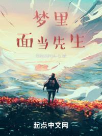 梦里面当先生封面