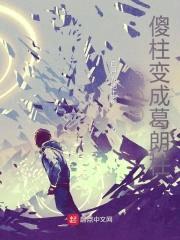 四合院：傻柱变成葛朗柱封面