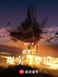 从盗梦开始封面