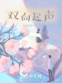 双向起声封面