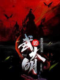 武锻大明封面