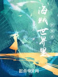 海贼世界里的旅者封面