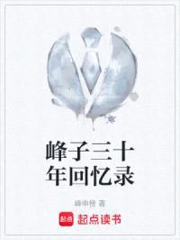 峰子三十年回忆录封面