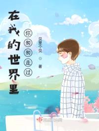 在我的世界里，你匆匆走过封面