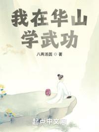 我在华山学武功封面