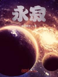 永寂封面