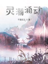 灵潮涌动封面