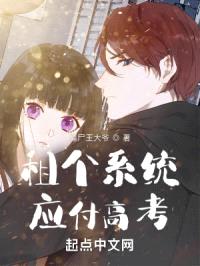 租个系统应付高考封面