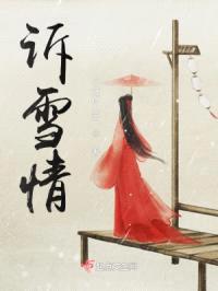 诉雪情封面