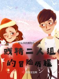 贱精二人组的冒险历程封面