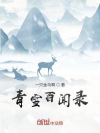 青雪百闻录封面