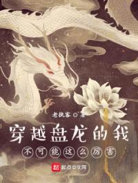 穿越盘龙的我不可能这么厉害封面