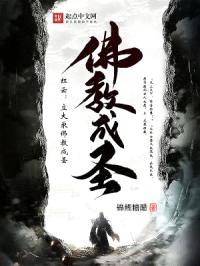 红云：立大乘佛教成圣封面