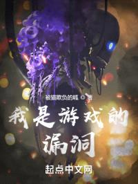 我是游戏的漏洞封面